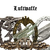 Luftwaffe War Badges