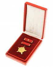 Medal Held der Arbeit - last model